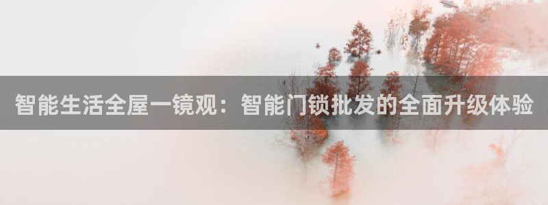 利记体育投注官网：智能生活全屋一镜观：智能门锁批发的全面升级