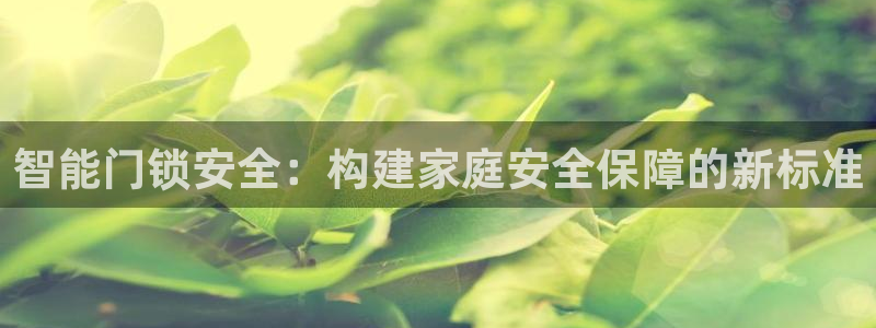 利记广告联盟官网：智能门锁安全：构建家庭安全保障的新标准
