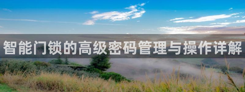 利记官网在线投注