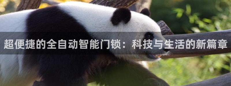 利记官网app下载网址日博官网网址：超便捷的全自动智能门锁：