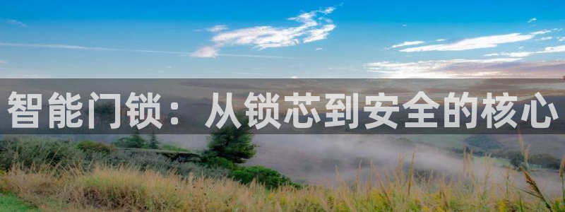 利记官网地址：智能门锁：从锁芯到安全的核心