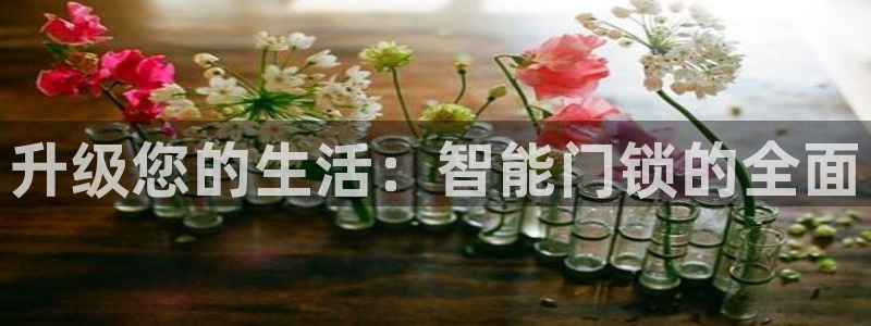 利记彩票导航网址官网hd71：升级您的生活：智能门锁的全面