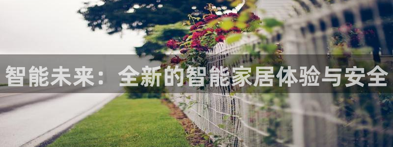 利记官网日亚运比：智能未来：全新的智能家居体验与安全