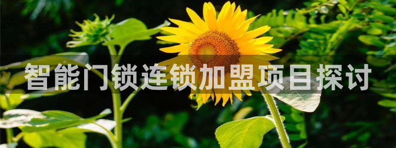 利记官网登录入口：智能门锁连锁加盟项目探讨