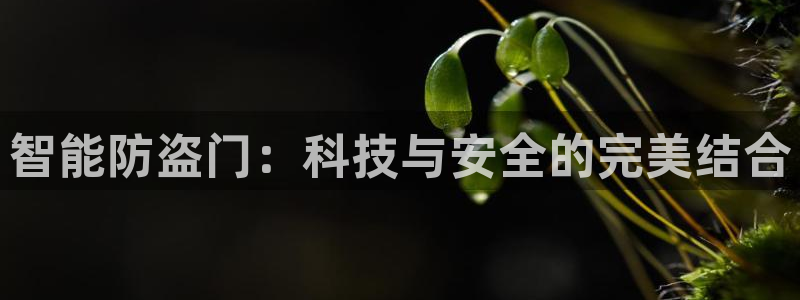 188bet注册利记官网app：智能防盗门：科技与安全的完美