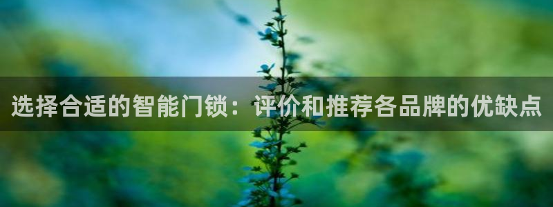 澳博官网app利记网址：选择合适的智能门锁：评价和推荐各品牌