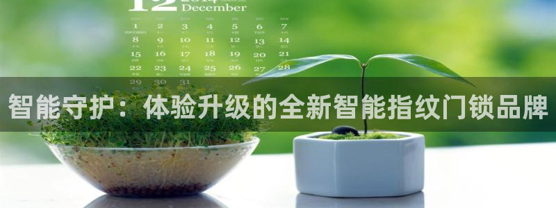 万利记菜单价格查询官网：智能守护：体验升级的全新智能指纹门锁