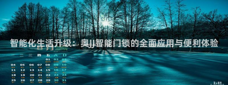 利记坊官网注册账号：智能化生活升级：奥JJ智能门锁的全面应用
