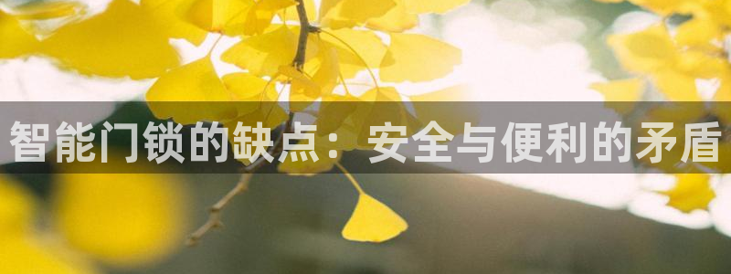 利记彩票官网：智能门锁的缺点：安全与便利的矛盾