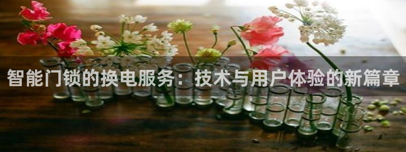 利记手机官网：智能门锁的换电服务：技术与用户体验的新篇章