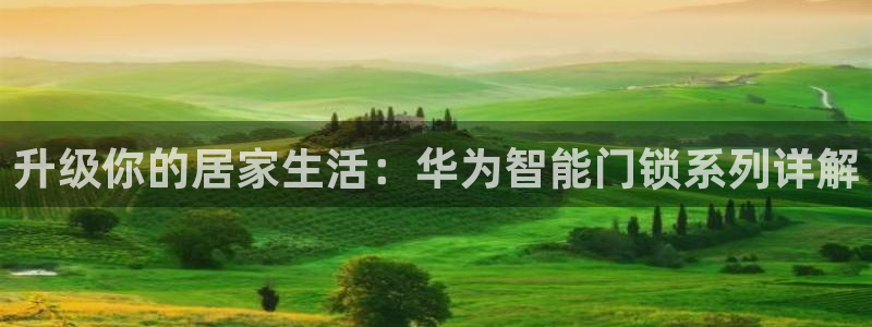 利记坊官网登录：升级你的居家生活：华为智能门锁系列详解