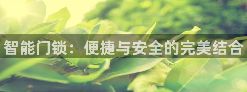 利记手机官网银河网