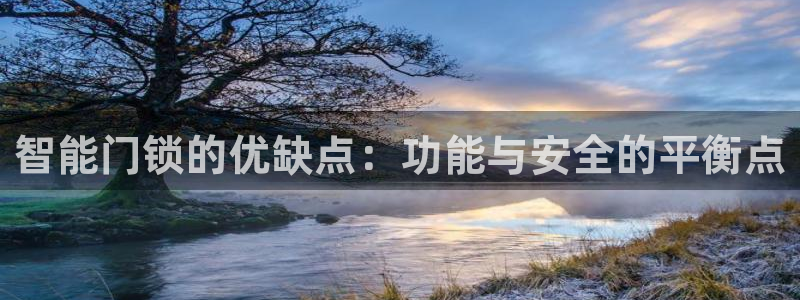 利记体育官网首页：智能门锁的优缺点：功能与安全的平衡点