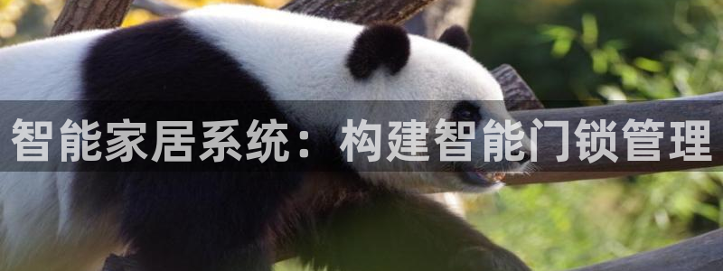 利记娱乐网官网：智能家居系统：构建智能门锁管理