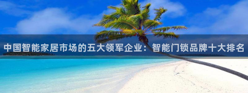 利记真正的官网是多少：中国智能家居市场的五大领军企业：智能门