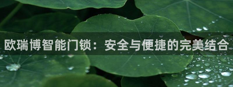 新利记官网