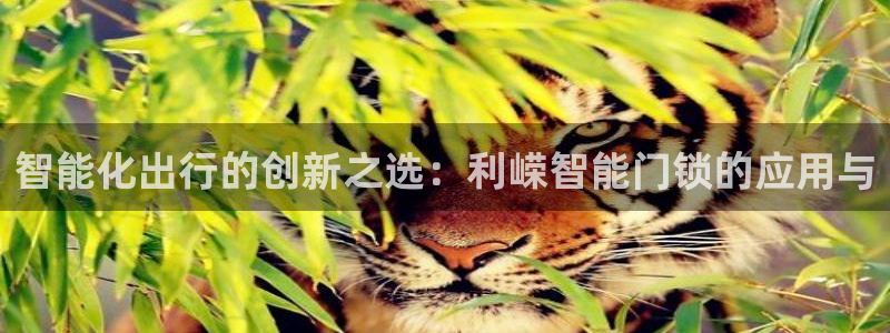 利记官网注册：智能化出行的创新之选：利嵘智能门锁的应用与