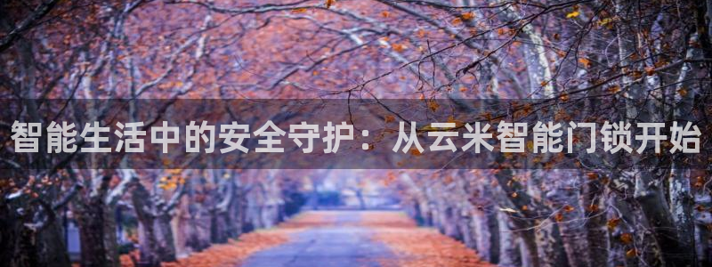 利记官网登录入口：智能生活中的安全守护：从云米智能门锁开始