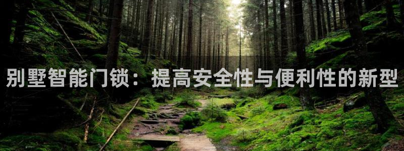 利记彩票导航网址官网hd71：别墅智能门锁：提高安全性与便利