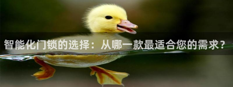 利记app官网入口：智能化门锁的选择：从哪一款最适合您的需求