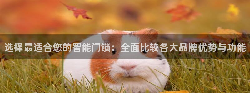新利记官网：选择最适合您的智能门锁：全面比较各大品牌优势与功