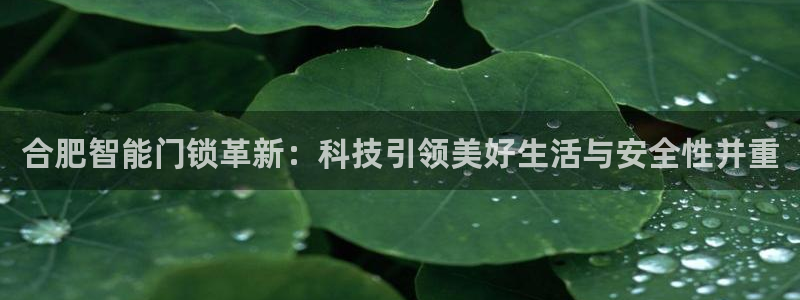 利记彩票官网网址官网hd71：合肥智能门锁革新：科技引领美好