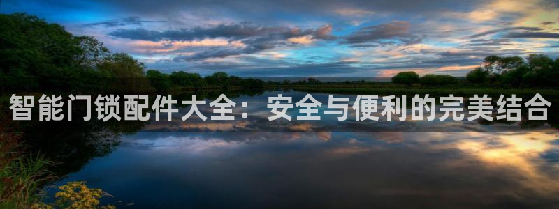 利记国际线址官网：智能门锁配件大全：安全与便利的完美结合