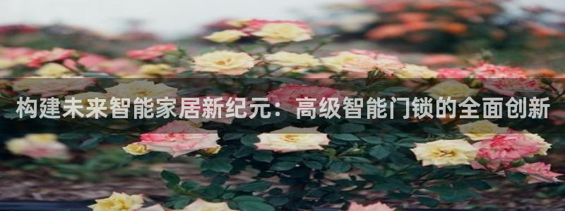 利记网官网：构建未来智能家居新纪元：高级智能门锁的全面创新