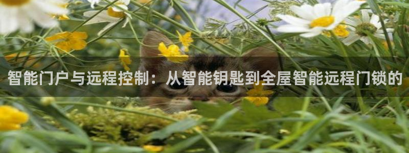 利记正式官网：智能门户与远程控制：从智能钥匙到全屋智能远程门