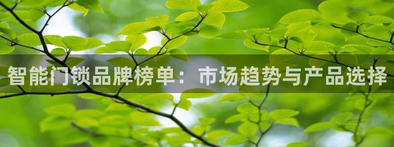 铂利记旗舰店官网：智能门锁品牌榜单：市场趋势与产品选择
