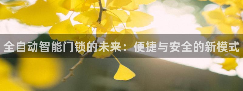 利记平台官网首页：全自动智能门锁的未来：便捷与安全的新模式