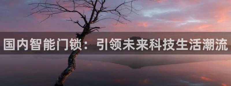 利记科技有限公司官网：国内智能门锁：引领未来科技生活潮流