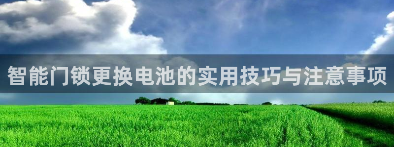 利记手机官网电子mg官方网站：智能门锁更换电池的实用技巧与注