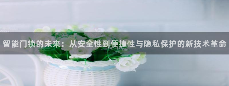 利记网址注册官网：智能门锁的未来：从安全性到便捷性与隐私保护
