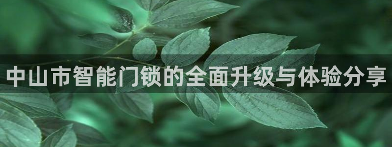 利记官网开户：中山市智能门锁的全面升级与体验分享