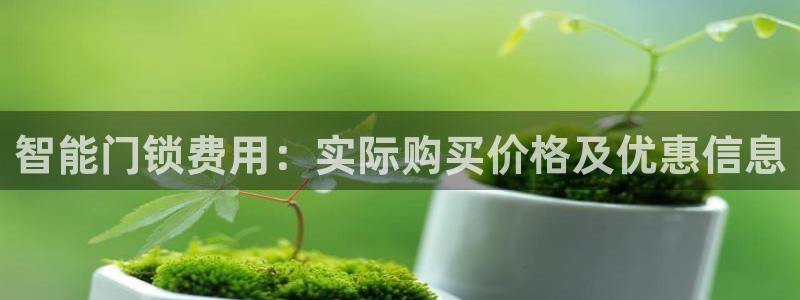利记足球官网：智能门锁费用：实际购买价格及优惠信息