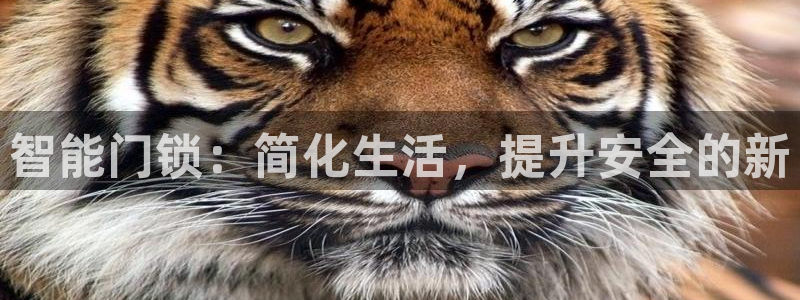 利记彩票官网wx678 com：智能门锁：简化生活，提升安全