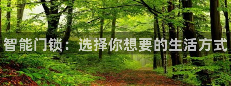 香港利记lee kee集团官网：智能门锁：选择你想要的生活方