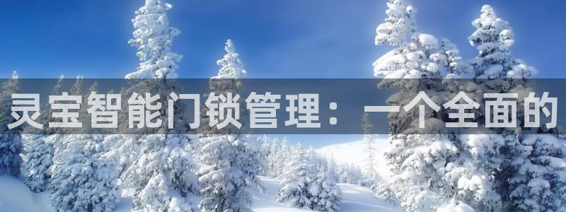 利记app官方官网登录：灵宝智能门锁管理：一个全面的