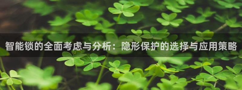 利记手机官网入口：智能锁的全面考虑与分析：隐形保护的选择与应
