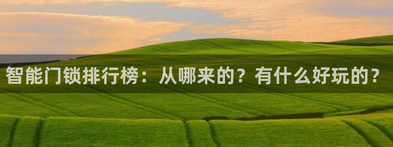 利记网址注册官网：智能门锁排行榜：从哪来的？有什么好玩的？