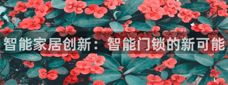 利记坊平台唯一官网：智能家居创新：智能门锁的新可能
