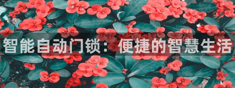 sbo利记体育官网：智能自动门锁：便捷的智慧生活