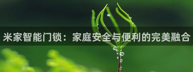 利记彩票网网址官网hd71：米家智能门锁：家庭安全与便利的完