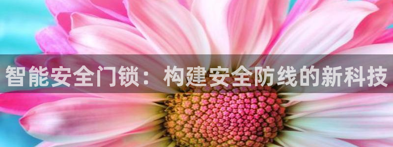 利记官网香菜1：智能安全门锁：构建安全防线的新科技