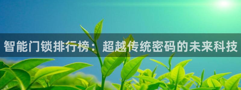 利记娱乐会员金钻官网：智能门锁排行榜：超越传统密码的未来科技