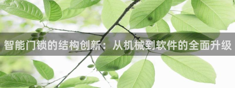 利记体育平台官网：智能门锁的结构创新：从机械到软件的全面升级
