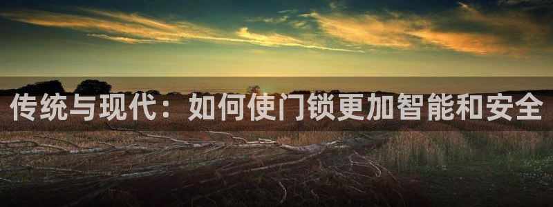 利记app官方官网登录：传统与现代：如何使门锁更加智能和安全