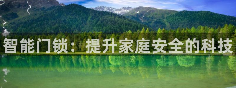 林利记官网：智能门锁：提升家庭安全的科技