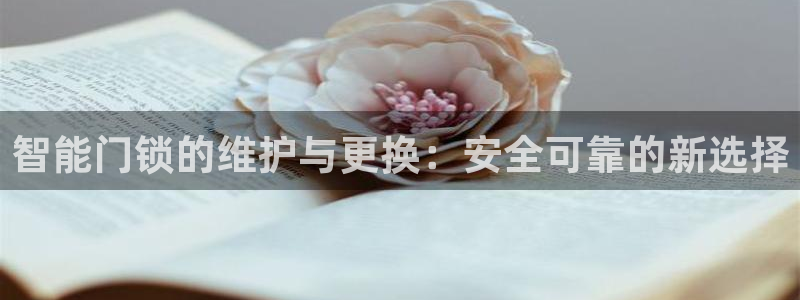 利记官网入口最新版：智能门锁的维护与更换：安全可靠的新选择
